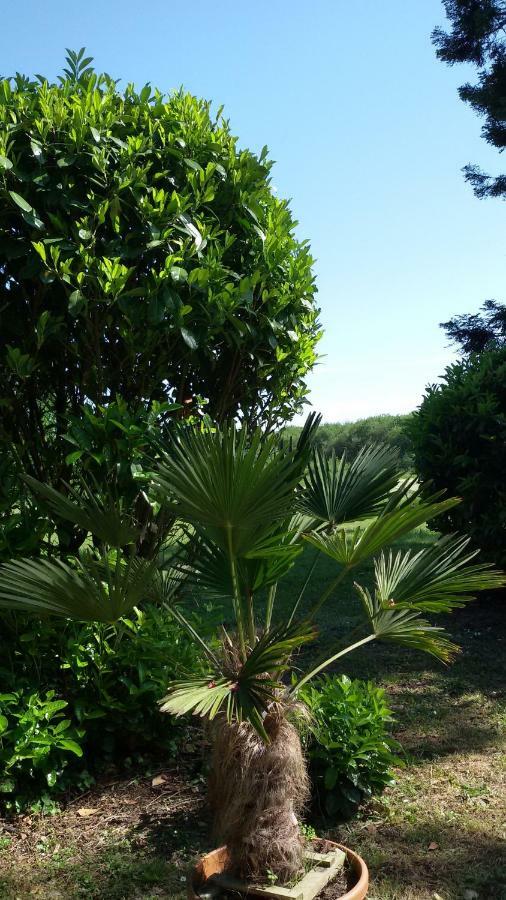 Manoir Des Turets Bed & Breakfast Yvre-l'Eveque Bagian luar foto