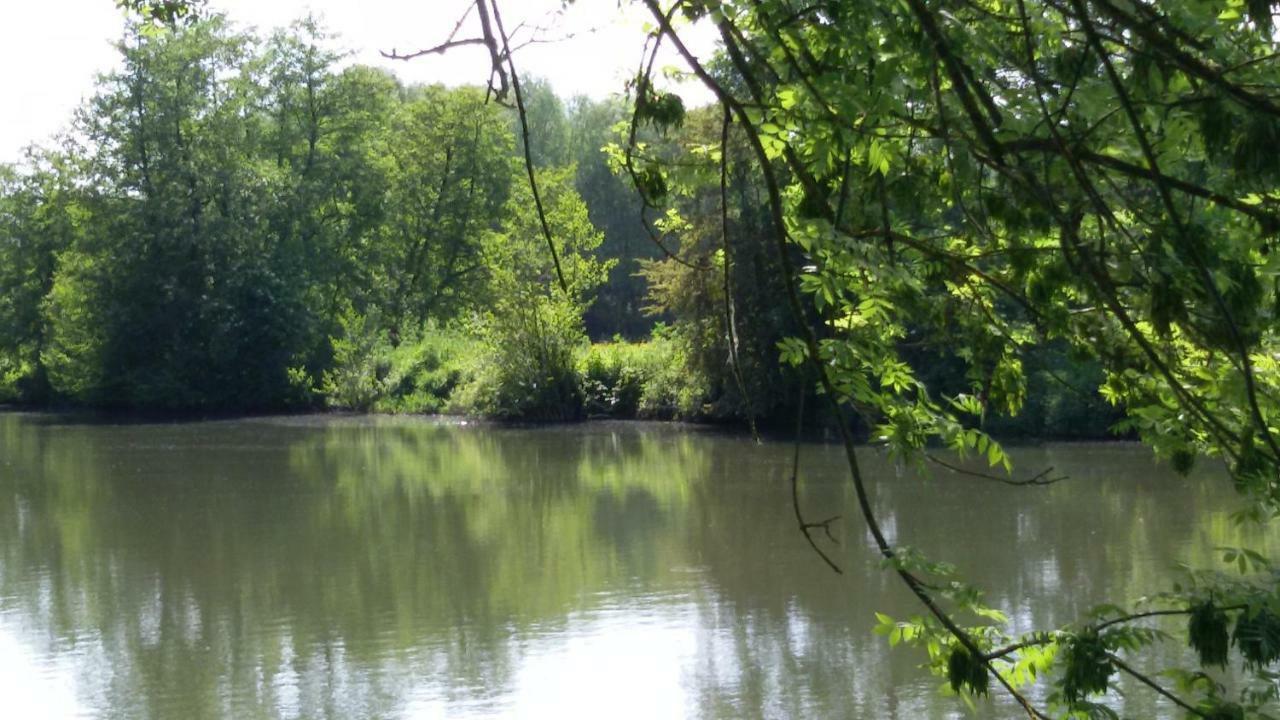 Manoir Des Turets Bed & Breakfast Yvre-l'Eveque Bagian luar foto